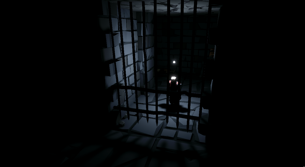 Looking through dungeon bars